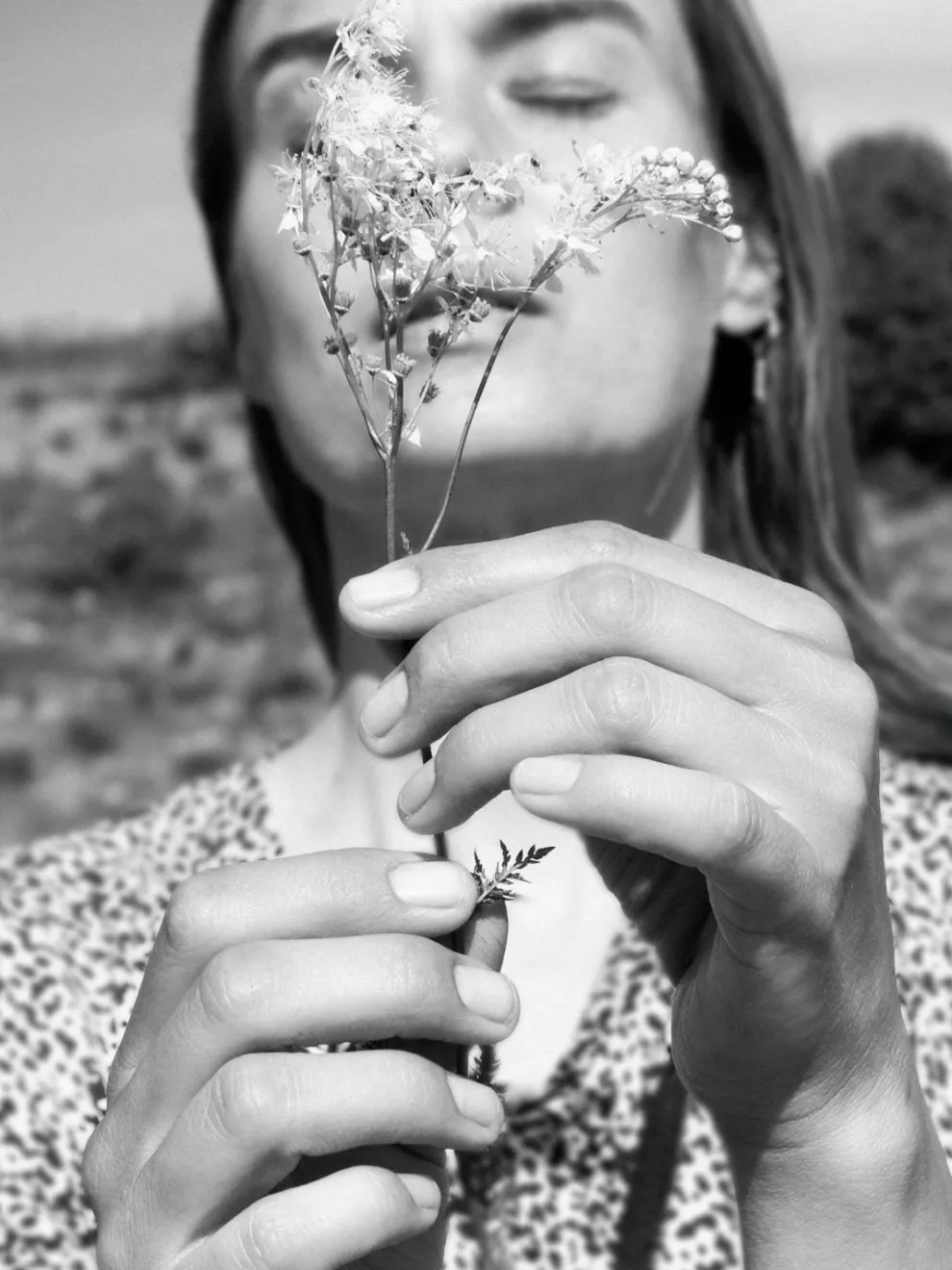 Bjork & Berries Hand Cream - Botanist