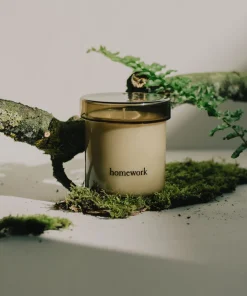 Homework Regular Candle - Earth