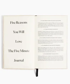 Intelligent Change Five Minute Journal - Oat