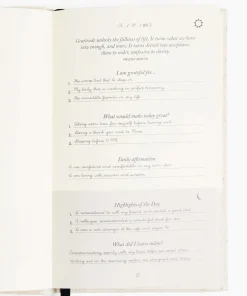 Intelligent Change Five Minute Journal - Oat