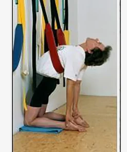 JivanaProps Pelvic Swing With Wall Kit