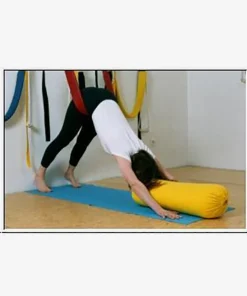 JivanaProps Pelvic Swing With Wall Kit