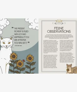 Mystic Kitty - A cat's guide to meditaion