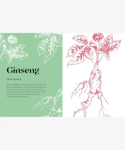 Nature's Apothecary: Harness the healing power of herbs, mushrooms and other adaptogens