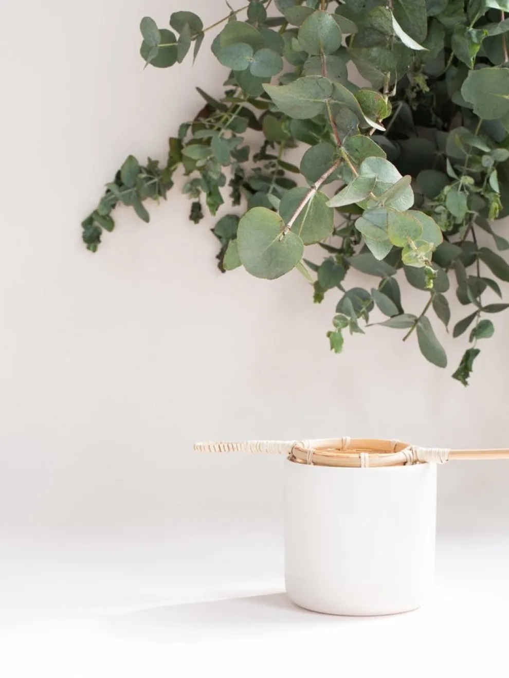 Parigotte Bamboo Tea Strainer