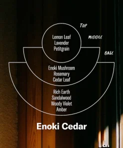 P.F. Candle Co. 7.2oz Alchemy Candle - Enoki Cedar