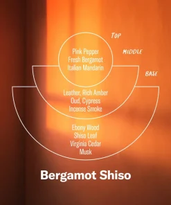 P.F. Candle Co. 7.2oz Alchemy Candle - Bergamot Shiso