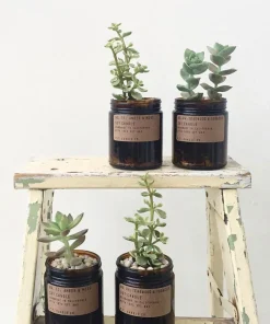 P.F. Candle Co. 7.2oz Soy Candle - Teakwood & Tobacco