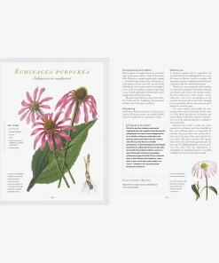 The Healing Herbal : Ancient and Modern Medicinal Plants