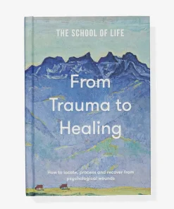 The School of Life From Trauma to Healing