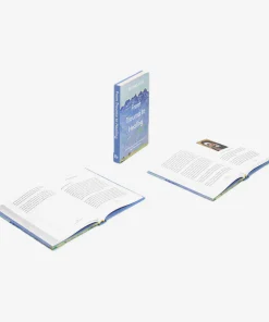 The School of Life From Trauma to Healing